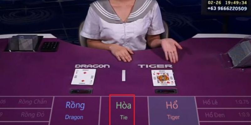 Rồng hổ 888B